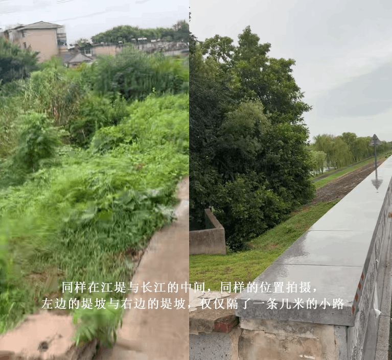 堤坡实拍二