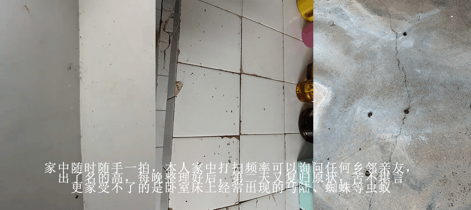 家中随拍