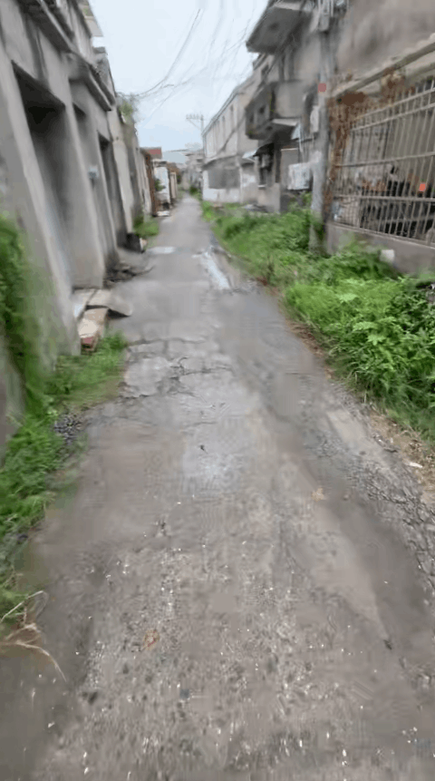 道路随拍一