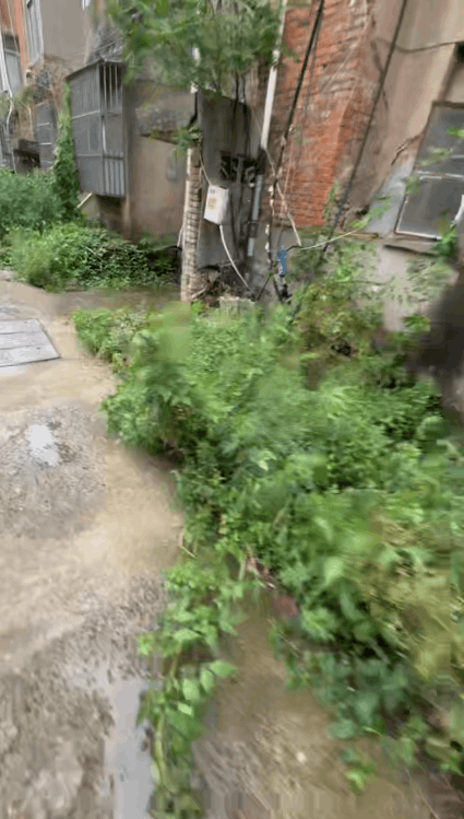 道路随拍三